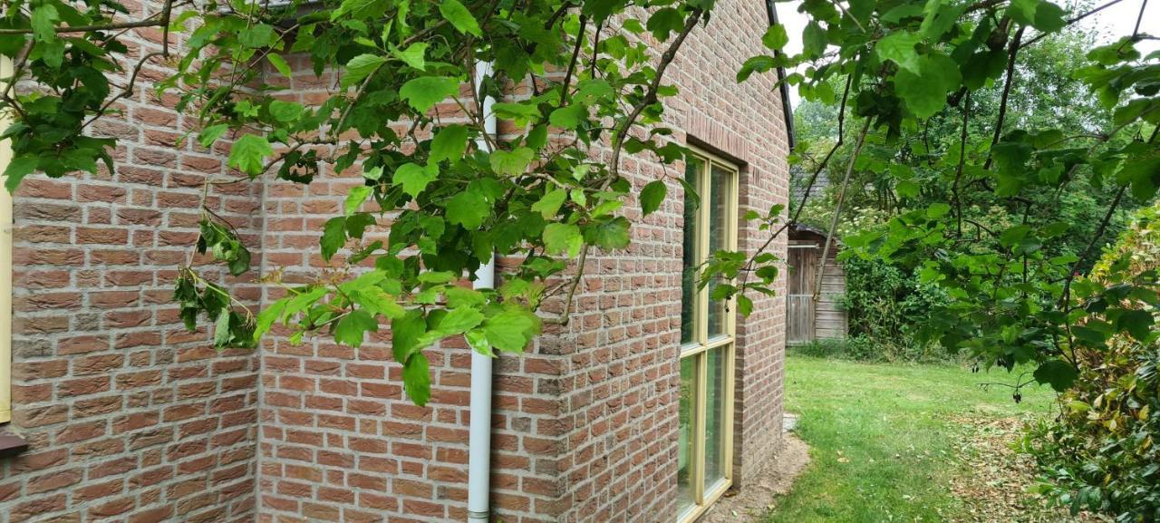 Forestview 'Queenstown' 6 Pers Very Child-Friendly By Kawatea Cottages (Adults Only) Ewijk Eksteriør billede