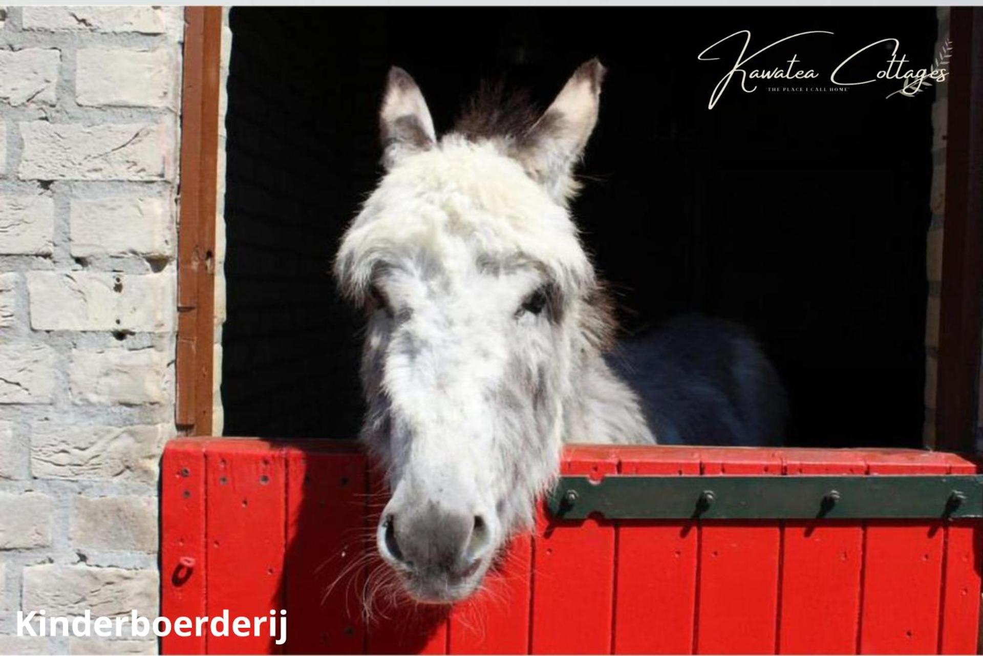 Forestview 'Queenstown' 6 Pers Very Child-Friendly By Kawatea Cottages (Adults Only) Ewijk Eksteriør billede